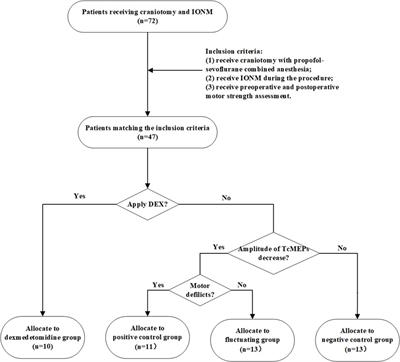 Effect of dexmedetomidine on somatosensory- and motor-evoked potentials in patients receiving craniotomy under propofol-sevoflurane combined anesthesia